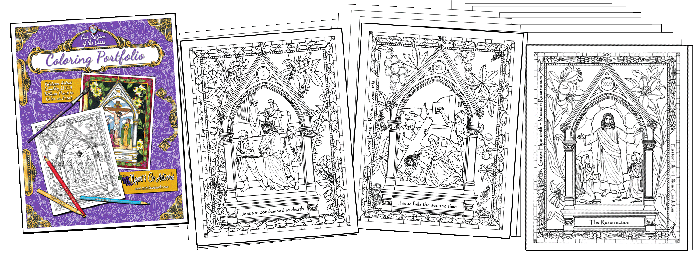Mystic Saints Coloring Portfolio